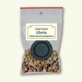 Gloria - pakiet jednorazowy