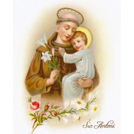 Obrazek 20x25 - Święty Antoni (2) - OBRAZY RELIGIJNE