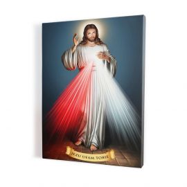 Obraz Jezus Miłosierny - płótno canvas (2) - Obrazy na płótnie canvas
