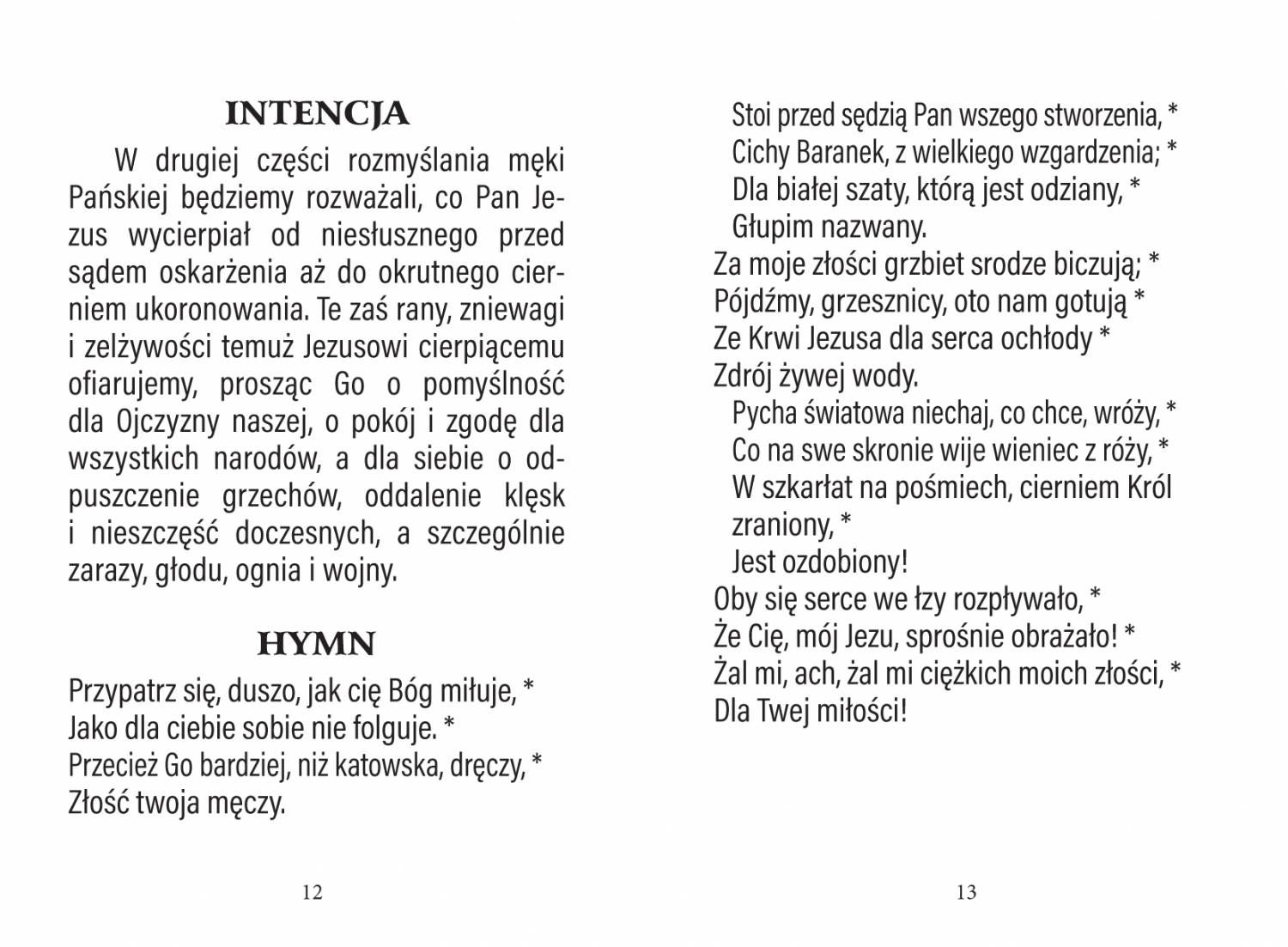 Książeczka - Gorzkie Żale - KSIĄŻKI, ROZWAŻANIA -  DROGA KRZYŻOWA - zdjęcie 2 - Książeczka - Gorzkie Żale