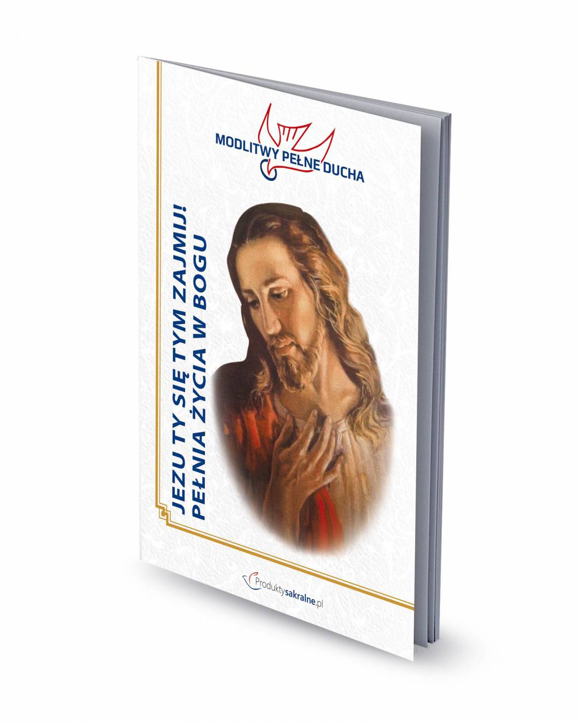 Jezu Ty się tym zajmij - modlitewnik - MODLITEWNIKI - Nowość