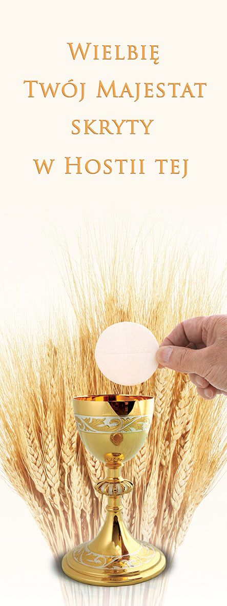 Baner Boże Ciało (14) - Banery Boże Ciało