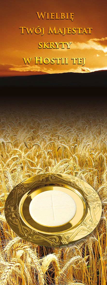 Baner Boże Ciało (16) - Banery Boże Ciało