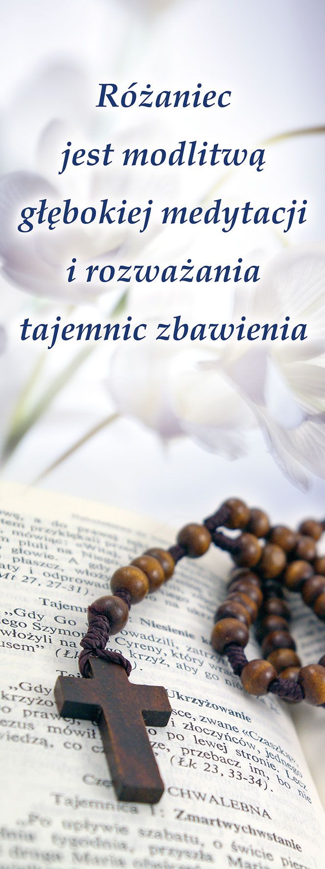 Baner - Nabożeństwo różańcowe (18) - Nabożeństwo różańcowe - Nowość